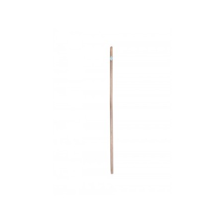 Manche Frêne
