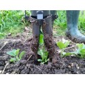 Plantoir PL3, Canne à semer Grosses graines
