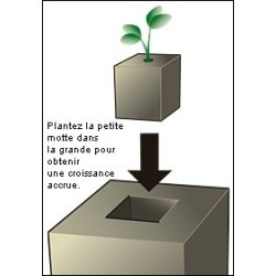 Kit de 2 Presse-Mottes avec semoir Élémentaire