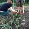 PLANTOIR A POIREAUX