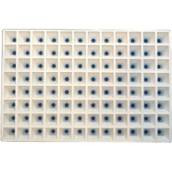 Plaque de semis 96 ALV (600x400m) lot de 2