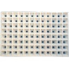 Plaque de semis 96 ALV (600x400m) lot de 2