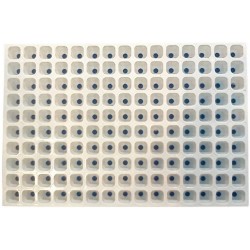 PLAQUE DE SEMIS 150 ALV (600x400mm) lot de 2