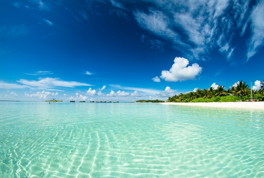 Vacances d'été !